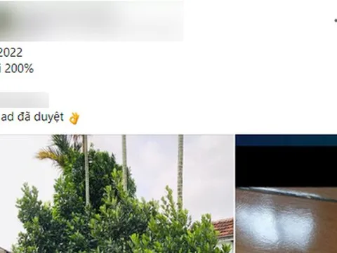 Ra giá 2 tỷ đồng vì bốc được biển ngũ quý 666.66, chủ xe Honda SH được CĐM tiếp lời: "Xe này phải 6 tỷ đồng mới đúng"