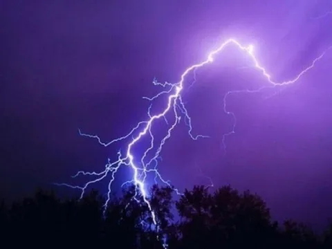 Đang khai thác keo 4 người bất ngờ bị sét đánh phải nhập viện