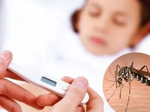 Đã có trẻ tử vong do sốt xuất huyết, chuyên gia chỉ cách phòng bệnh