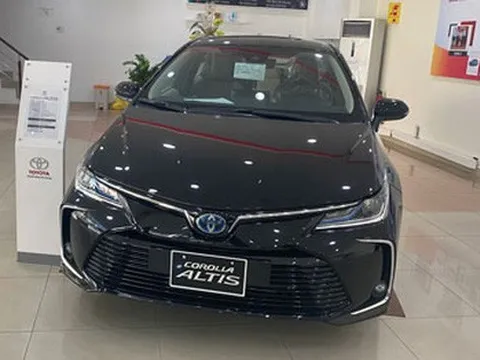 Ôtô "lai" giảm giá, hút khách