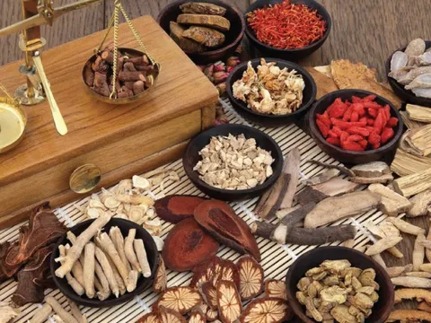 Loét ruột vì tự ý uống thuốc nam chữa viêm cột sống