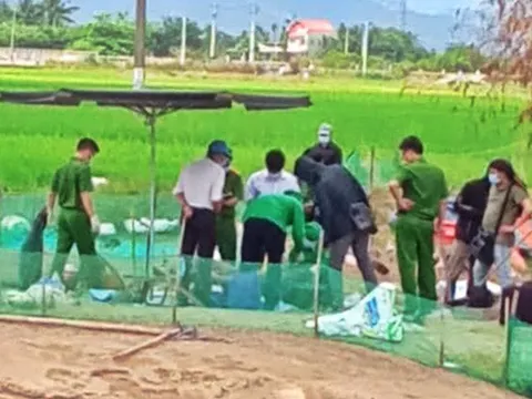 Dựng chòi giữa ao cá làm đại lý bán ma túy và tổ chức cho các con nghiện "chơi" tập thể