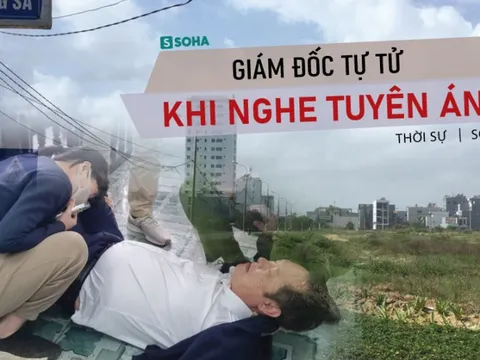 Vụ giám đốc công ty bất động sản tự tử tại toà: 2 khu đất "vàng" hiện có giá bao nhiêu?