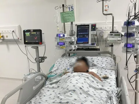 Số ca nặng và tử vong do sốt xuất huyết gia tăng ở khu vực phía Nam