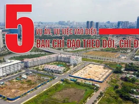 [Infographic] 5 vụ án, vụ việc vào diện Ban Chỉ đạo theo dõi, chỉ đạo