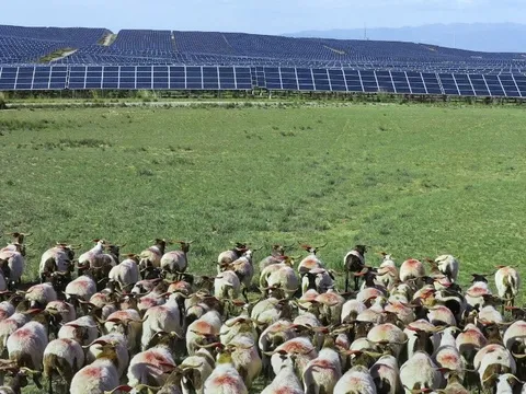 Huawei và nỗ lực “xanh hóa” thế giới