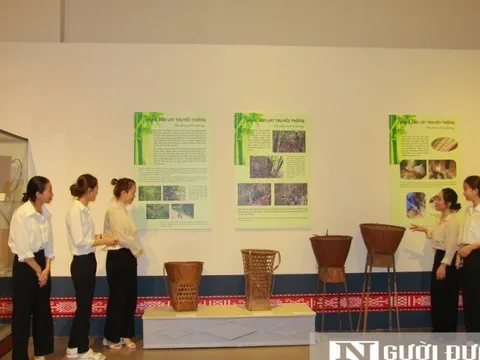 Gợi nhớ cội nguồn từ “Hồn tre Tây Nguyên”