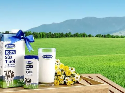 Giá nguyên liệu đầu vào tăng cao, Vinamilk báo lãi quý 1 giảm 12% so với cùng kỳ 2021