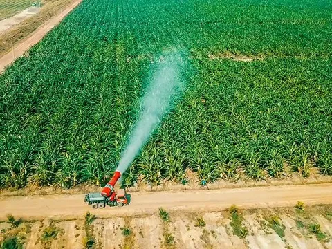 HAGL Agrico (HNG) lỗ ròng 113 tỷ trong quý 1/2022, tổng lỗ luỹ kế vào mức 3.539 tỷ đồng