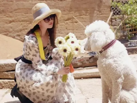 Điều ít ai biết về cuộc sống của "thần tiên tỷ tỷ" Lưu Diệc Phi