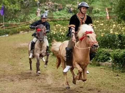 Kịch tính kỵ binh Tây Bắc so tài “Vó ngựa trên mây”