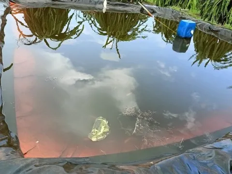 Bình Thuận: Hai bé nhỏ bị đuối nước trong ao nước dùng tưới thanh long