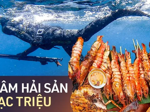 Ăn "MÂM HẢI SẢN BẠC TRIỆU" với giá 0 ĐỒNG: Vì một chuyến đi đẹp và không tốn kém!
