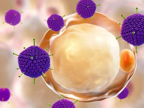 Bệnh viêm gan bí ẩn xuất hiện ở nhiều quốc gia: Nguyên nhân là gì? Phòng tránh ra sao?