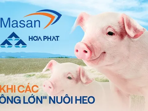 Khi các tỷ phú Việt nuôi heo: Masan có MeatDeli đổ bộ mâm cơm dân thành thị, Hòa Phát chỉ bán heo giống và heo hơi