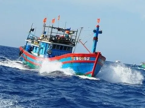 Đang đánh cá, một ngư dân rơi xuống biển mất tích