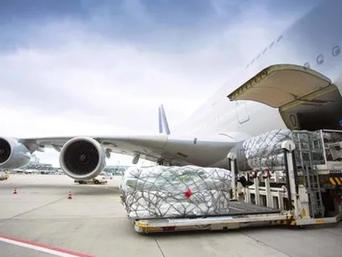 “Vua hàng hiệu” Jonathan Hạnh Nguyễn muốn đầu tư dự án nghìn tỷ tại siêu sân bay Long Thành