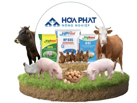 Mảng nông nghiệp Hòa Phát báo lỗ quỹ thứ hai liên tiếp hơn 55 tỷ đồng