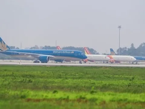 Tăng cường kiểm soát, xua đuổi chim tại các sân bay