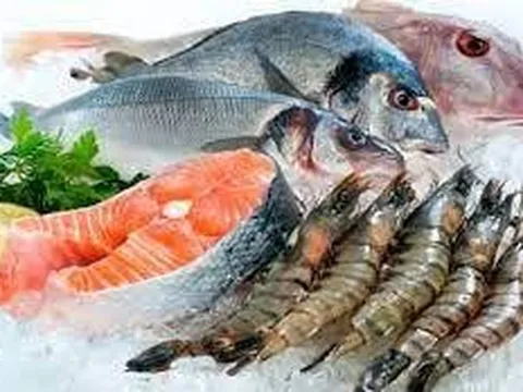 Mất khả năng thanh toán, Seaprodex Sài Gòn (SSN) bị buộc mở thủ tục phá sản