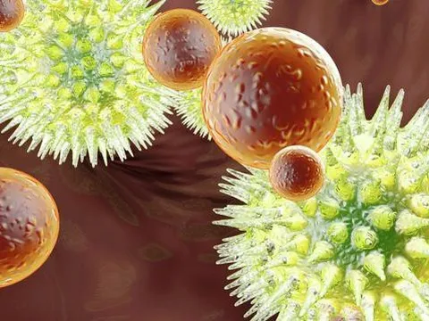 Bộ Y tế yêu cầu giám sát bệnh viêm gan không rõ nguyên nhân đang lây lan tại 20 quốc gia