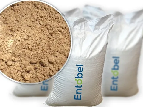 Mekong Capital và Dragon Capital cùng rót 30 triệu USD vào công ty thức ăn chăn nuôi từ côn trùng