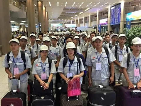 Tiếp tục thí điểm đưa người lao động đi làm việc thời vụ tại Hàn Quốc