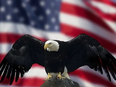 Những 'cánh đại bàng' Mỹ tại Việt Nam: Từ fastfood, bỉm sữa đến công nghiệp nặng, chip máy tính nhưng mới chỉ 2 cái tên có doanh thu tỷ đô