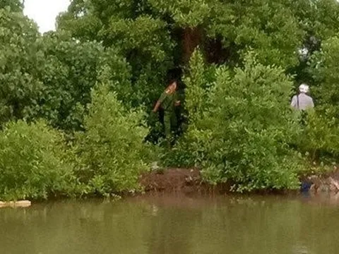 Cà Mau: Phát hiện thi thể người đàn ông đang phân hủy trên cây