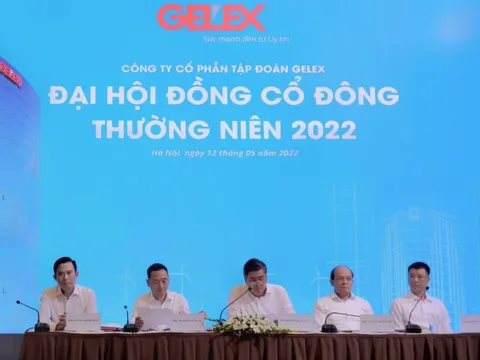 ĐHĐCĐ Gelex: Việc mua cổ phần doanh nghiệp nhà nước được thực hiện đúng luật, CEO Nguyễn Văn Tuấn cam kết mua 10 triệu cổ phiếu để đầu tư lâu dài
