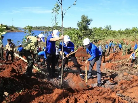 Đắk Nông phát động trồng gần 3 triệu cây xanh