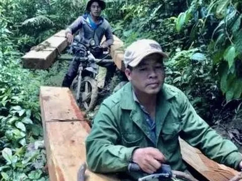 Đắk Lắk: Khởi tố 2 đối tượng khai thác trái phép 20m3 gỗ