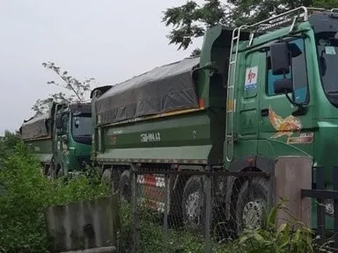 Vi phạm chở quá tải, một công ty vận tải ở Huế xin giảm phạt