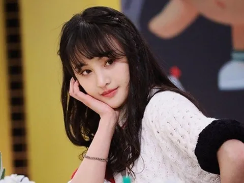 Diễn viễn Trịnh Sảng quyết định chuyển nghề sau một năm bị “phong sát”