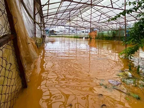 Lâm Đồng: Hàng chục nhà dân ngập nặng sau cơn mưa chiều