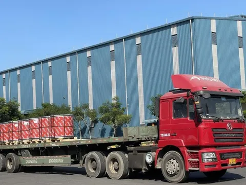 Tôn Pomina khẳng định sức hút với thị trường Mỹ