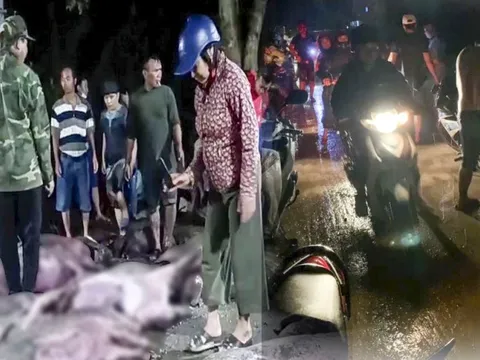 Gia chủ xúc động nhìn cả trăm người xếp hàng thâu đêm 'giải cứu' 229 con lợn bị sét đánh