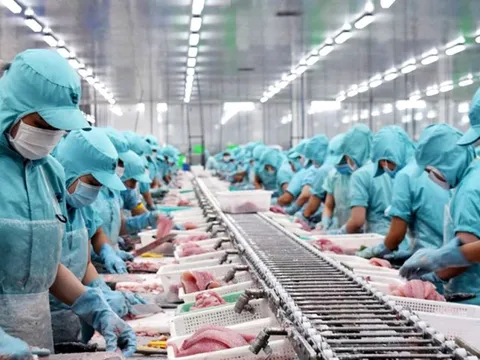 Dự báo lập kỷ lục xuất khẩu thuỷ sản trong quý 2
