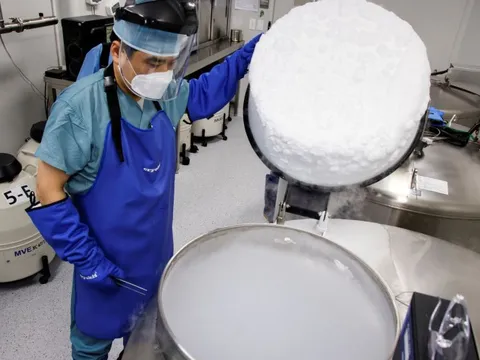 Vì sao ngày càng nhiều phụ nữ Hàn Quốc ngại lấy chồng sinh con, chọn đông lạnh trứng?