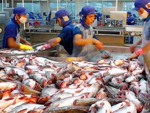 Tin vui cho thủy sản Việt: Hai doanh nghiệp được cấp phép xuất khẩu vào thị trường mới