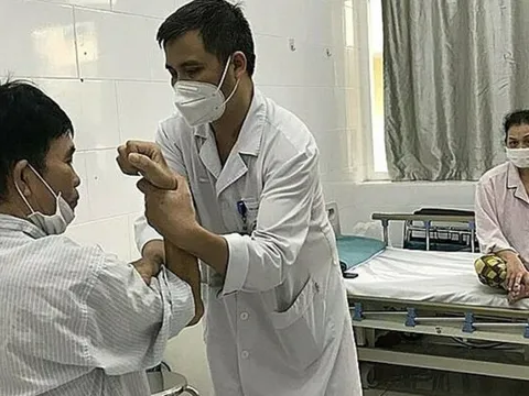 Hai vợ chồng teo cơ, liệt toàn thân vì ăn hạt muồng tây để phòng bệnh