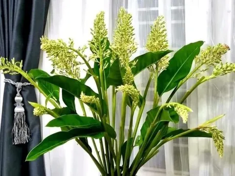 Chỉ tốn cỡ trăm ngàn, người chơi có ngay lọ hoa độc lạ đẹp mê li