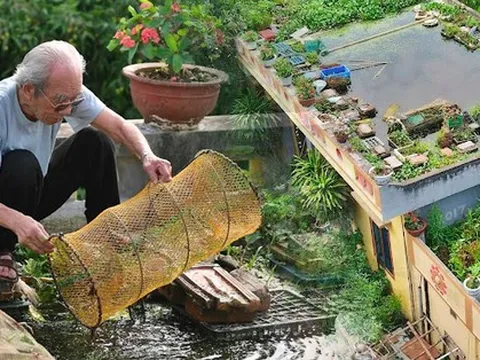 Cụ ông 87 tuổi "chịu chơi" mang cả cái ao đặt trên mái nhà rồi trồng rau nuôi cá