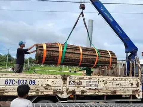 Cận cảnh cặp bánh tét "siêu to khổng lồ" dâng cúng Bà Chúa Xứ