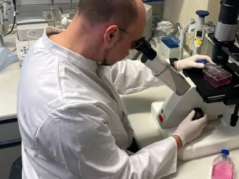 Quốc gia đầu tiên trên thế giới thông báo cách ly người mắc bệnh đậu mùa khỉ