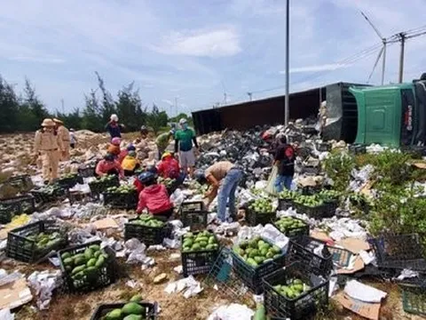 Xe chở hơn 30 tấn xoài lật, người dân đến gom giúp tài xế