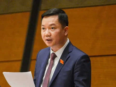 ĐBQH kiến nghị sớm có quy định về tài sản ảo, tiền ảo, tiền mã hóa