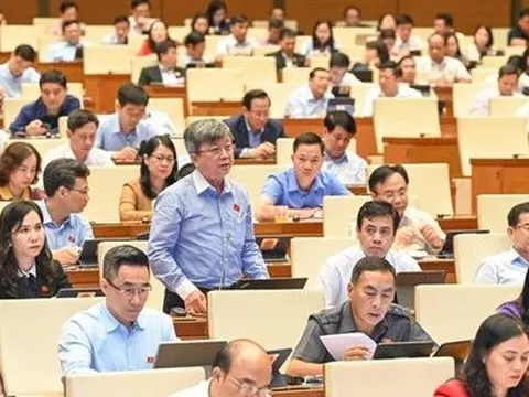 “Không nên chia cắt thành nhiều luật, lợi sẽ bất cập hại”