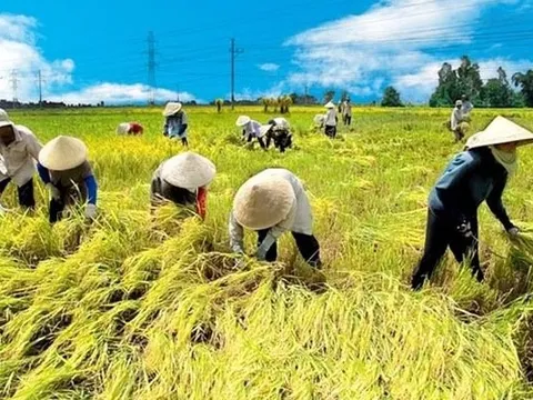 Đề xuất tăng mức hỗ trợ sản xuất sau thiên tai, dịch bệnh từ 1,25-2 lần