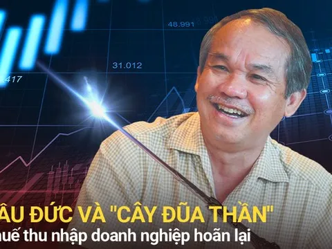 Giải mã khoản mục trên Báo cáo tài chính của HAGL khiến bầu Đức phải giải trình 2 lần từ đầu năm đến nay